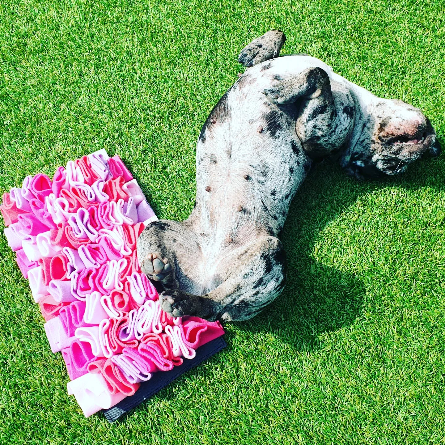 Snuffle Pastel Mat