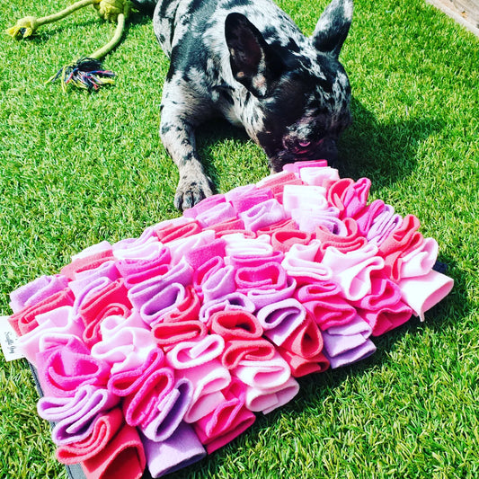 Snuffle Pastel Mat