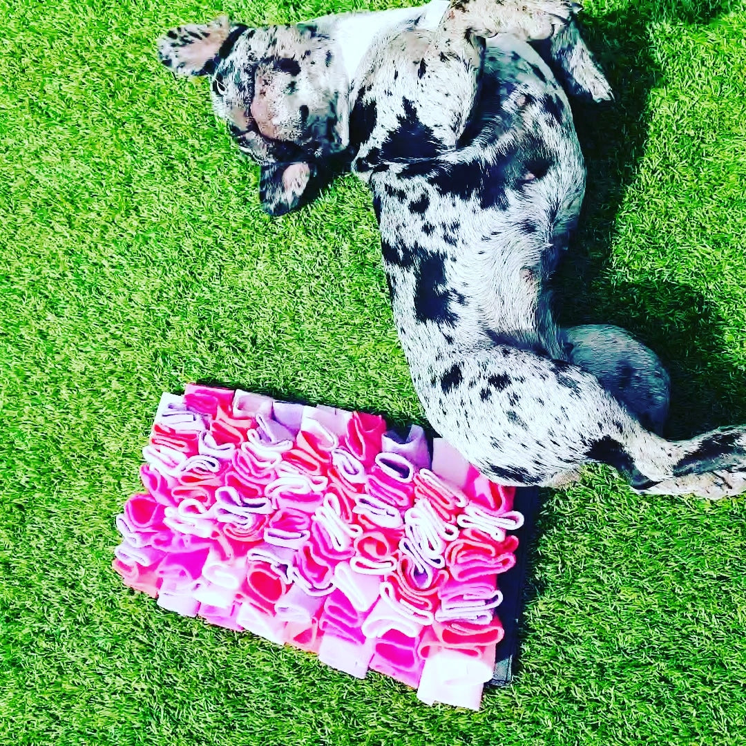 Snuffle Pastel Mat