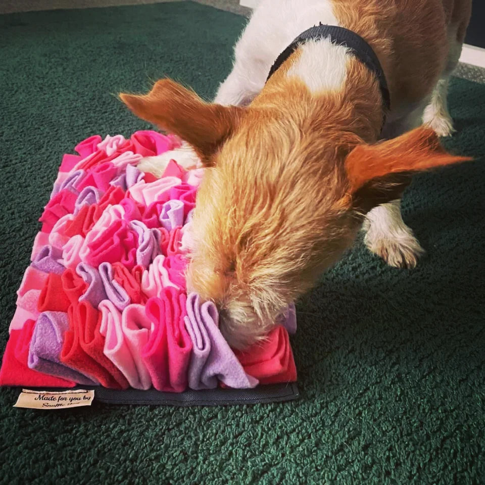 Snuffle Pastel Mat